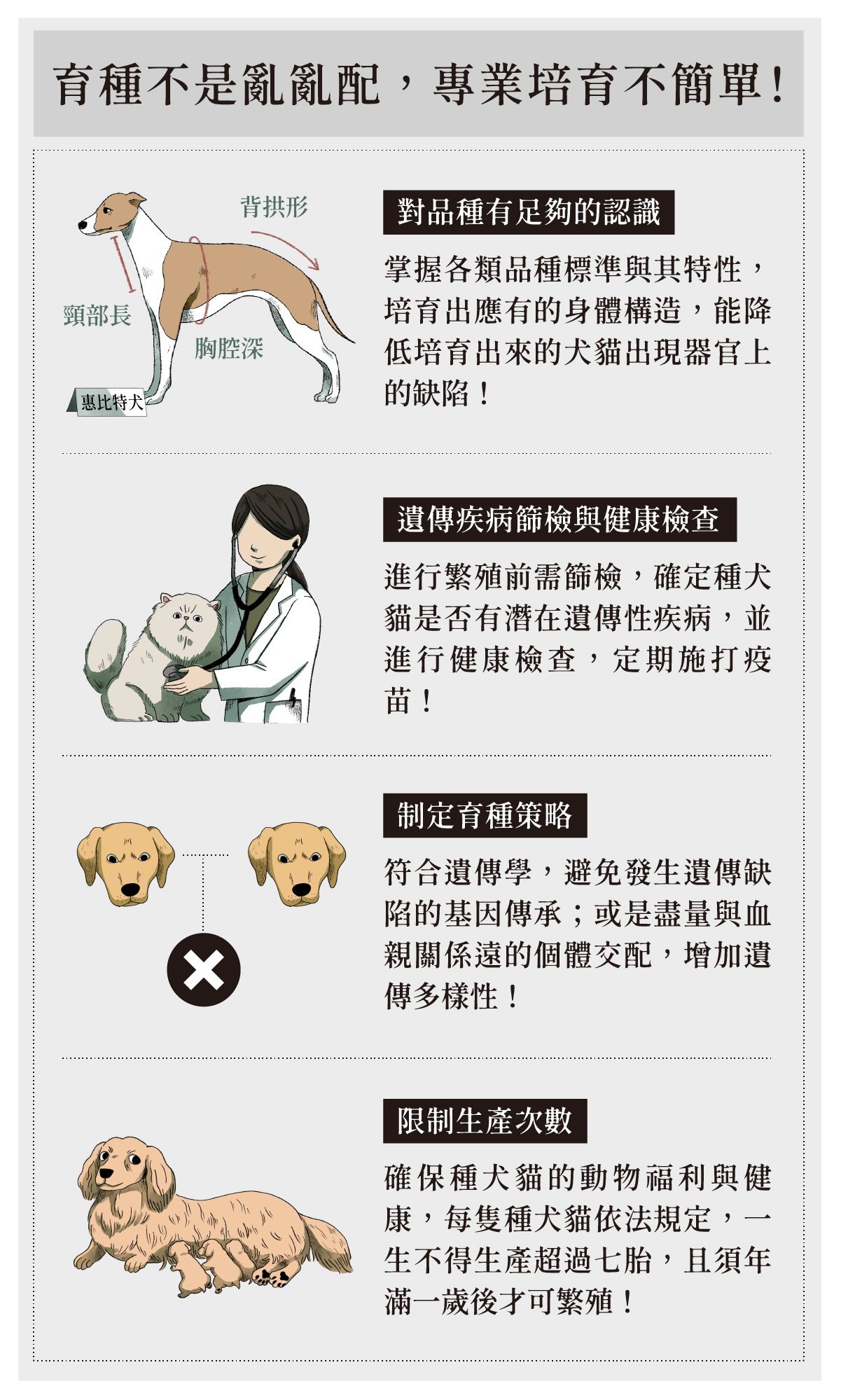 品種犬貓大專題 文章一 圖表 專業培育