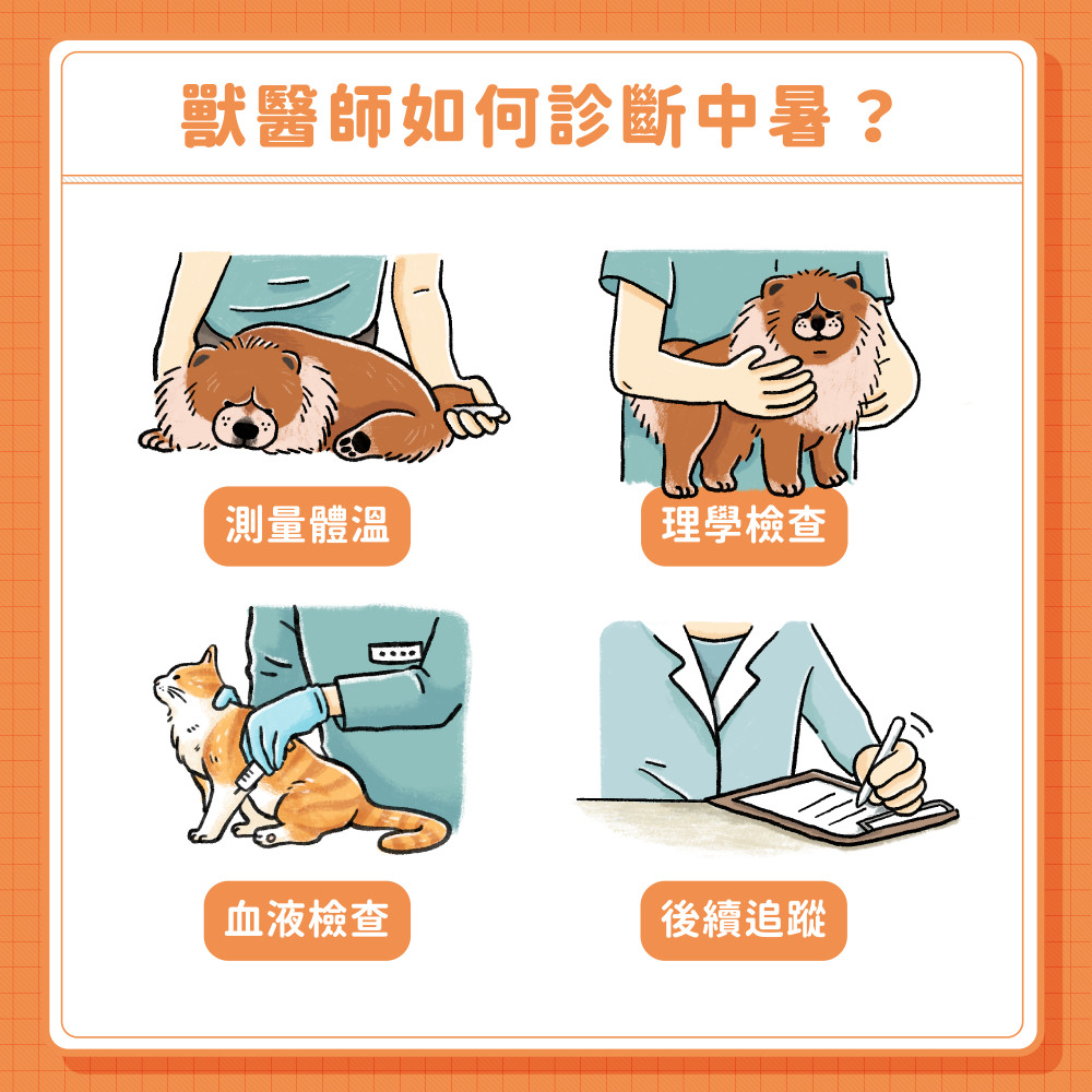  犬貓中暑 04