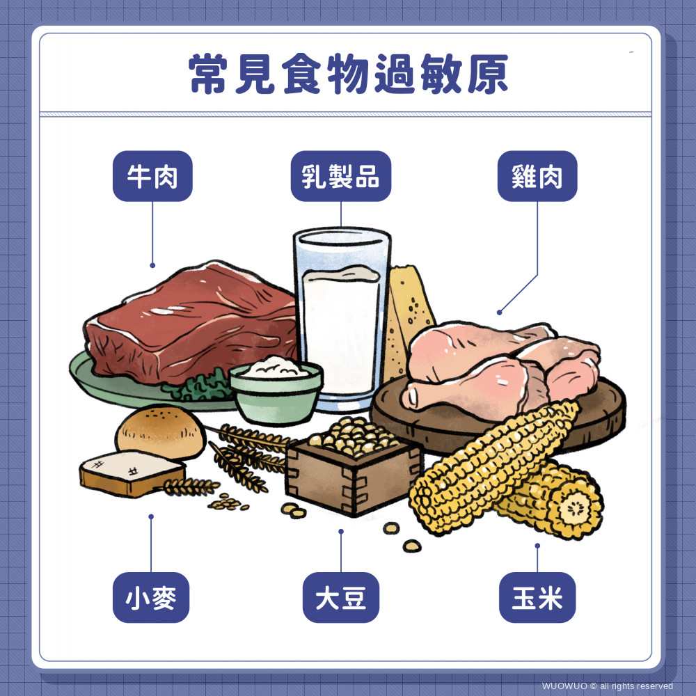 2021 毛孩家庭醫學 犬食物過敏 02